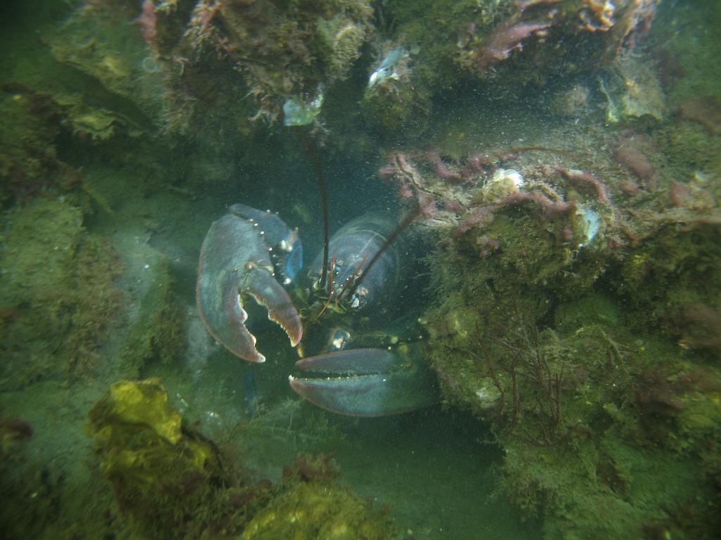 2008-07-20 08-32-01.JPG